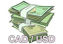 Cash